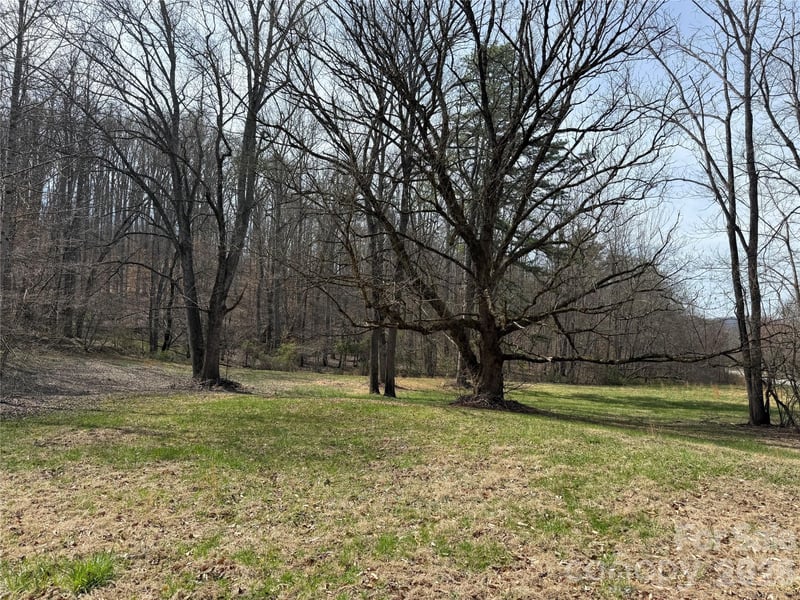 57 Fork Rd, Barnardsville, NC 28709