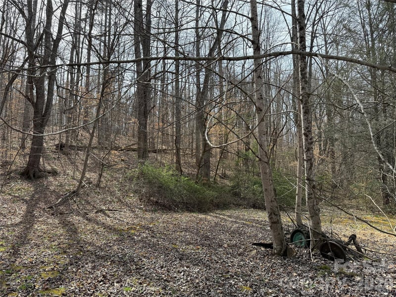 57 Fork Rd, Barnardsville, NC 28709