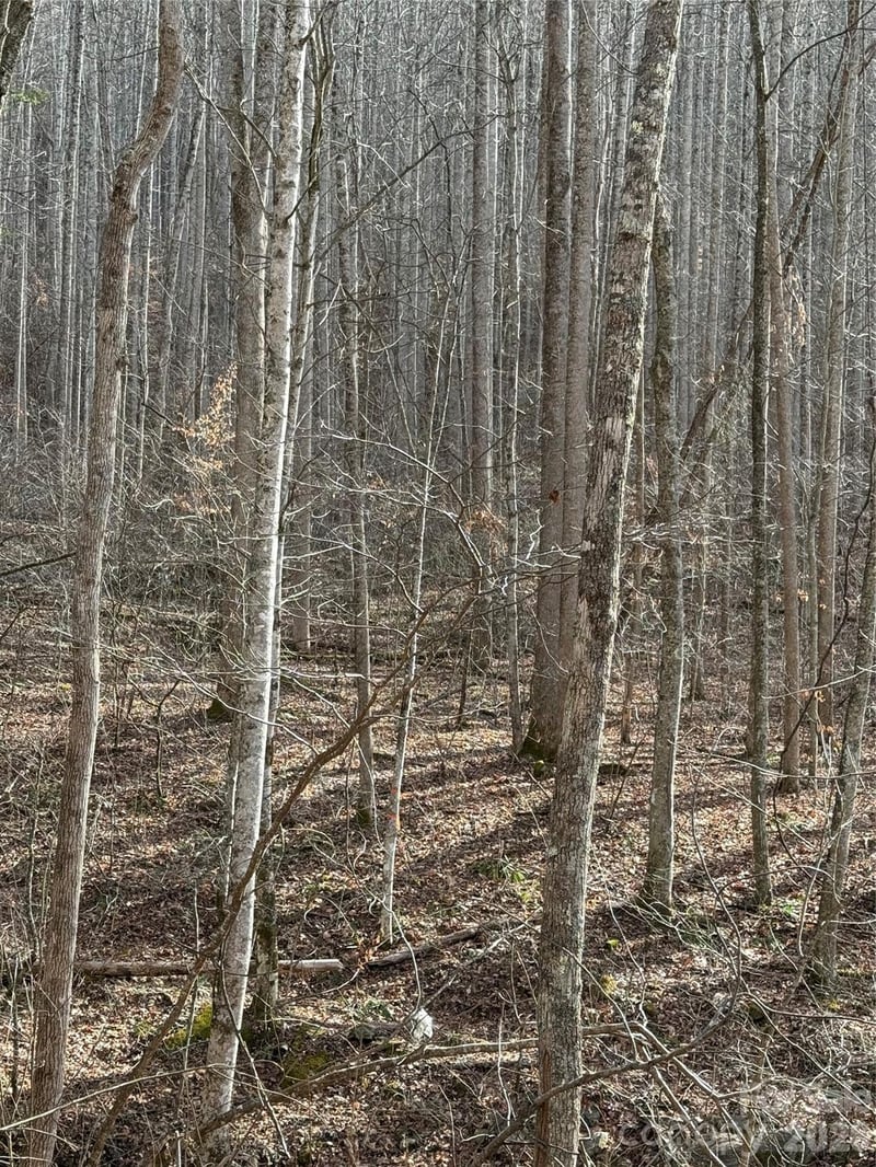 00000 Martins Creek Rd, Barnardsville, NC 28709