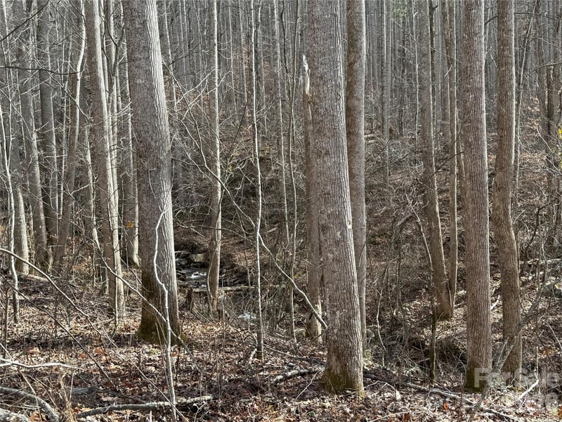 00000 Martins Creek Rd, Barnardsville, NC 28709