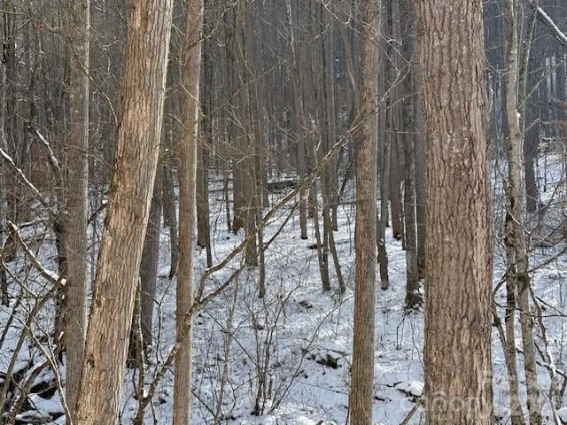 00000 Martins Creek Rd, Barnardsville, NC 28709