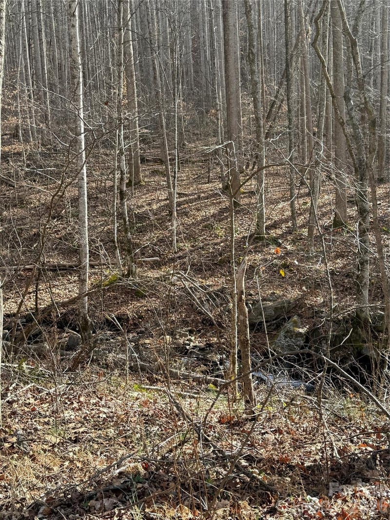 00000 Martins Creek Rd, Barnardsville, NC 28709
