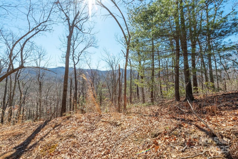 107 Bartram Way, Black Mountain, NC 28711