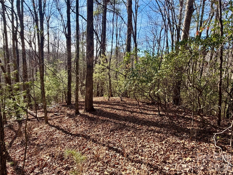 Lot 48 Fox Den Rd, Brevard, NC 28712