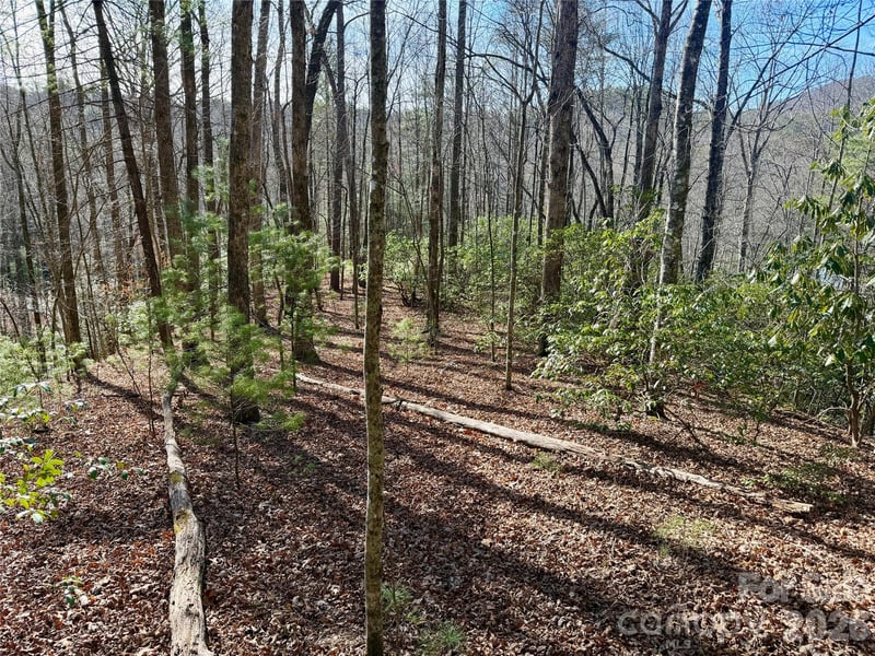 Lot 48 Fox Den Rd, Brevard, NC 28712