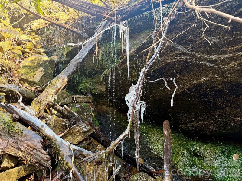 Lot 48 Fox Den Rd, Brevard, NC 28712