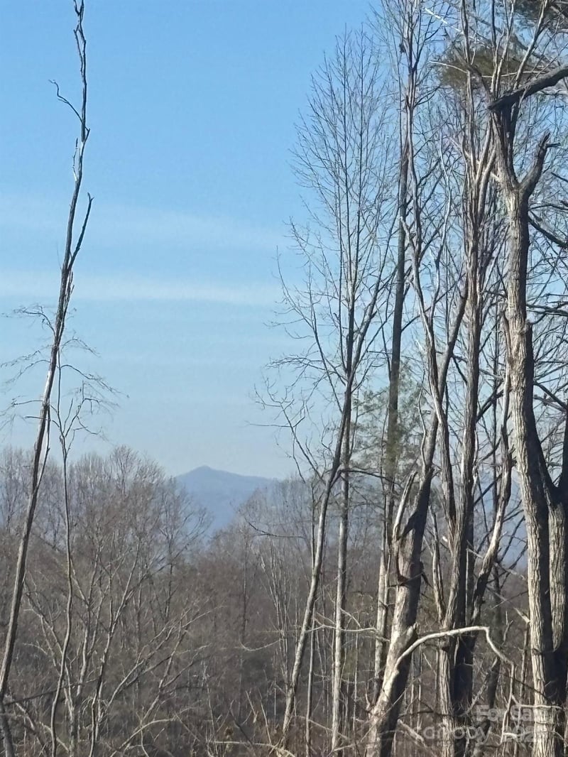 905 Hutch Mountain Rd, Fletcher, NC 28732