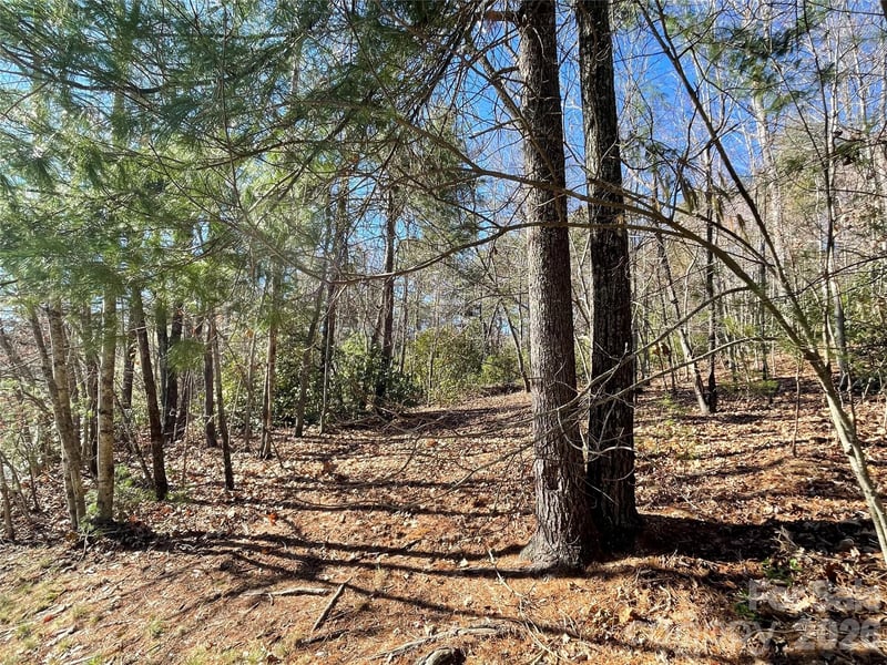 000 Didrikson Way #244, Hendersonville, NC 28739