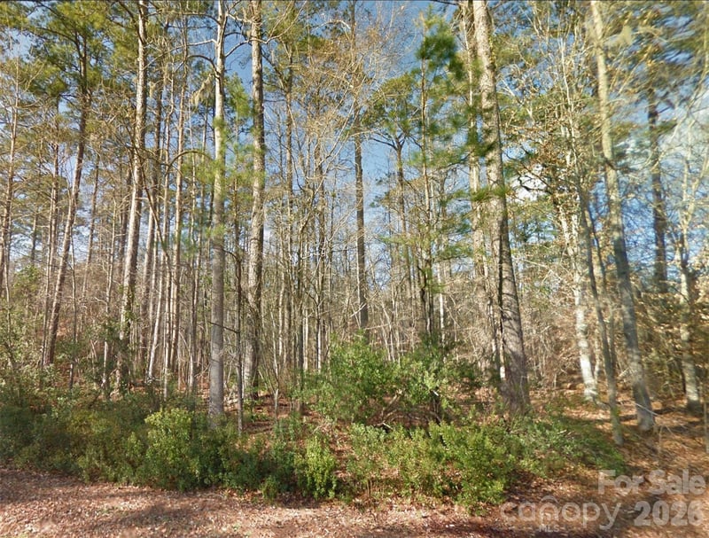 00 Mattocks Rd, Maysville, NC 28555