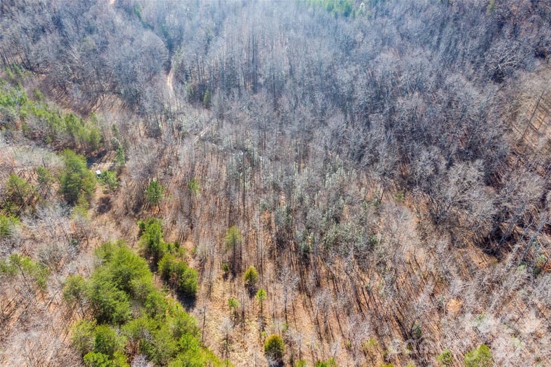 Pasture Dr #36, Ellenboro, NC 28040