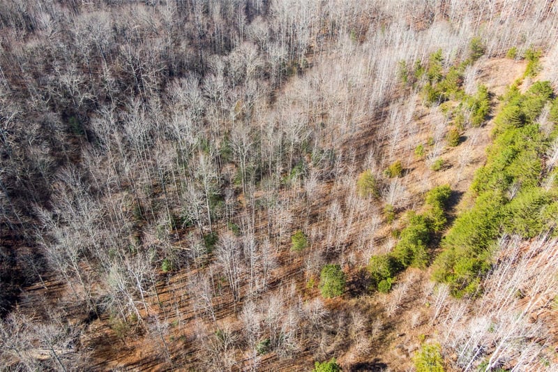 Pasture Dr #36, Ellenboro, NC 28040