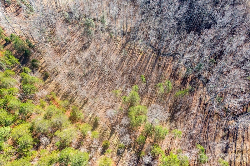 Riding Ring Dr #12, Ellenboro, NC 28040
