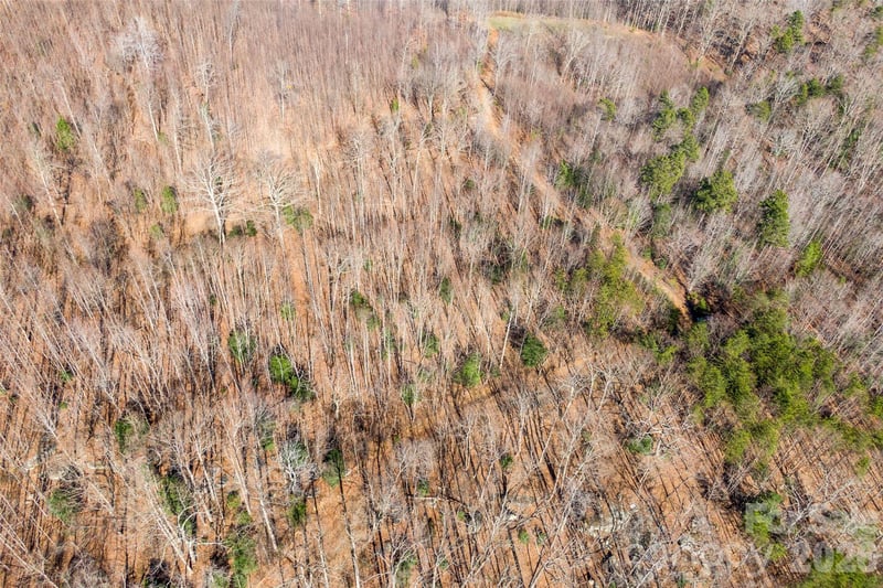 Ashe Dr #28A, Ellenboro, NC 28040