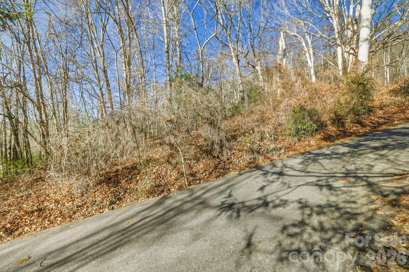 000 Briarwood Rd, Webster, NC 28788
