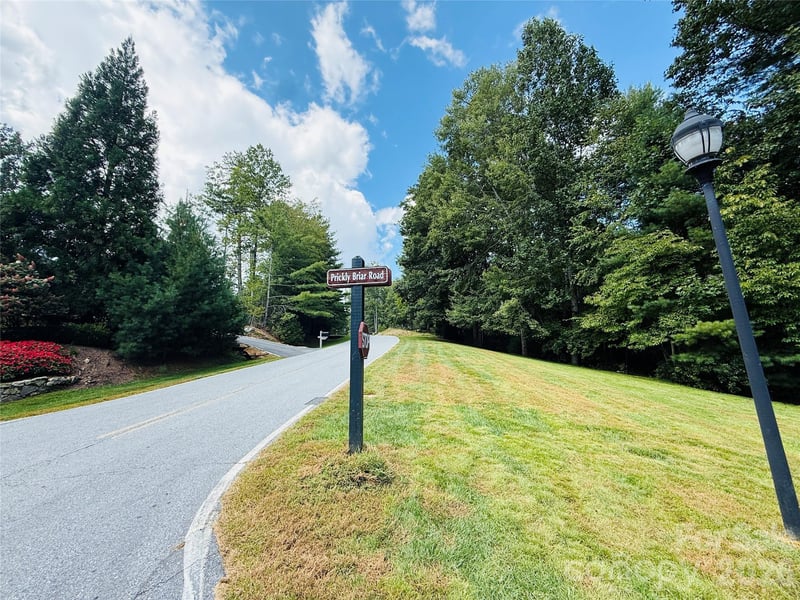 20 Prickly Briar Rd, Hendersonville, NC 28739