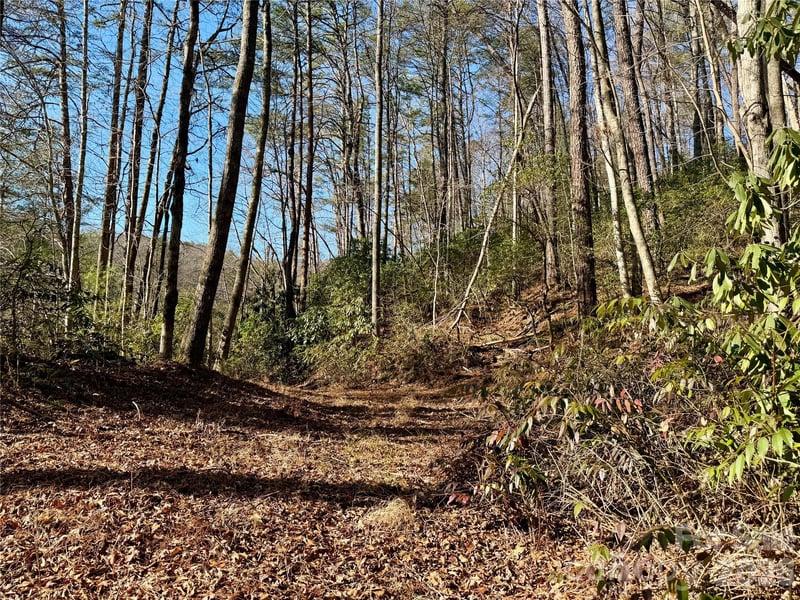 Fox Den Rd #35,36,37, Brevard, NC 28712