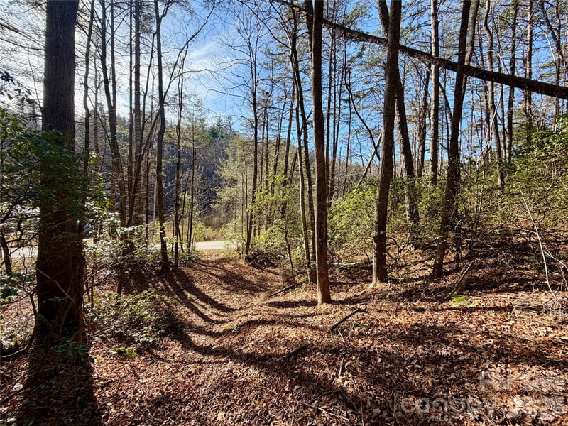 Fox Den Rd #35,36,37, Brevard, NC 28712