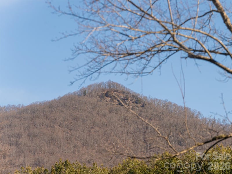 2 Bent Tree Dr, Asheville, NC 28803