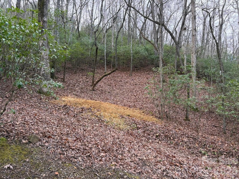 Crescent Rg, Franklin, NC 28734