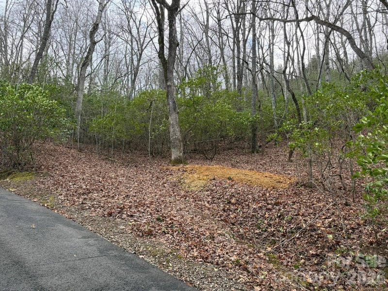 Crescent Rg, Franklin, NC 28734