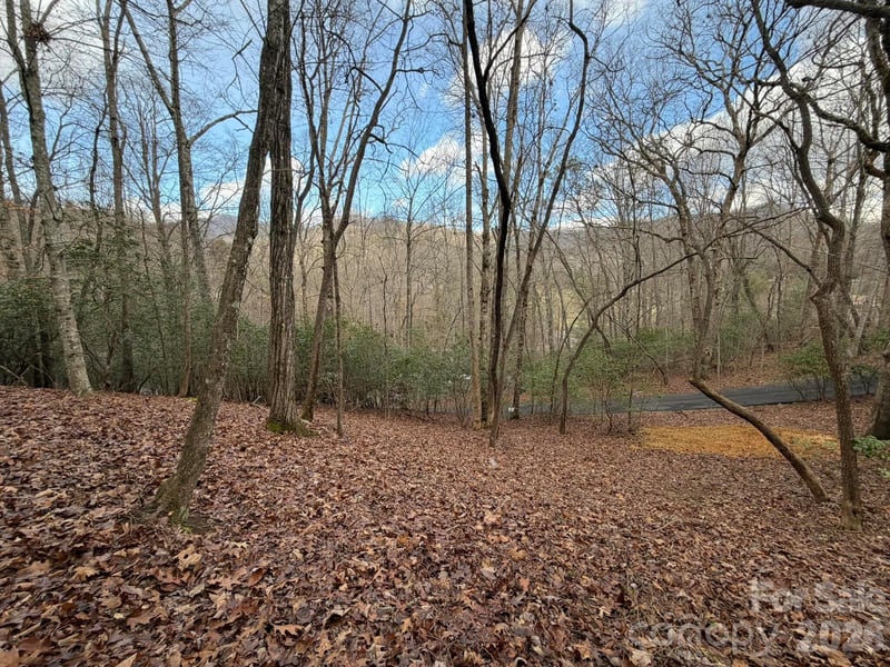 Crescent Rg, Franklin, NC 28734