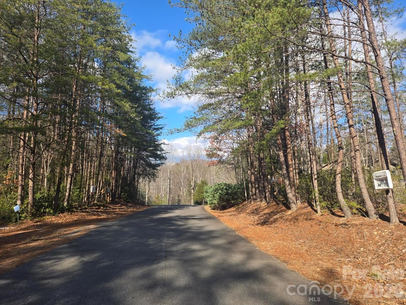 Lot 44 Dalton Ct, Lake Lure, NC 28746