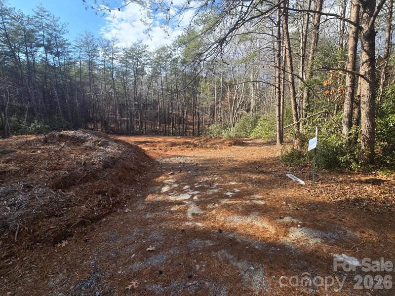 Lot 38 Dalton Ct, Lake Lure, NC 28746
