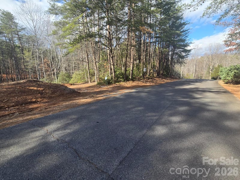Lot 38 Dalton Ct, Lake Lure, NC 28746