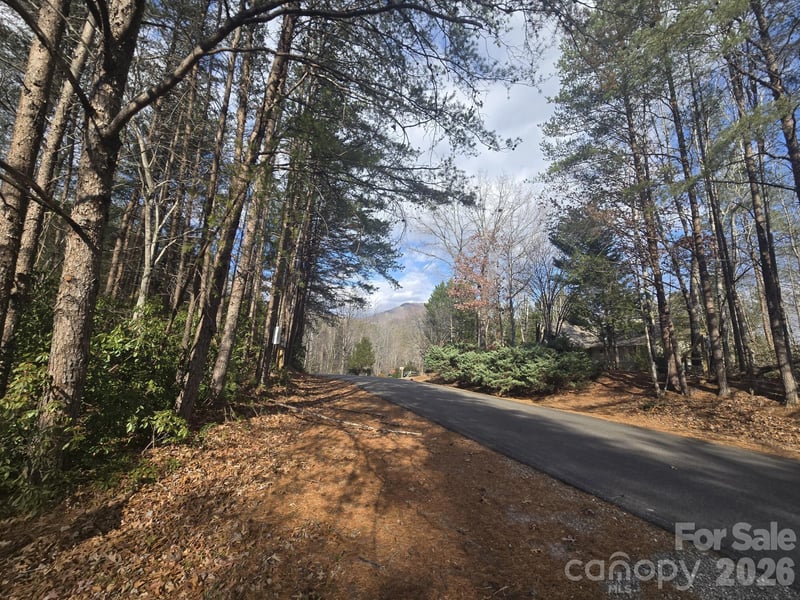 Lot 38 Dalton Ct, Lake Lure, NC 28746