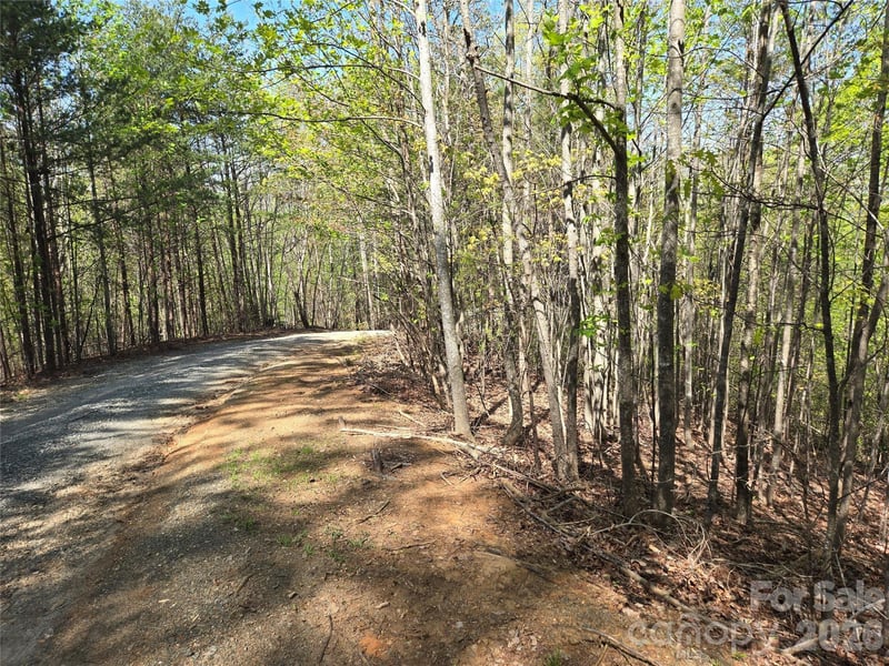 Lot 4 Hibiscus Ct, Lake Lure, NC 28746