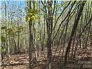 Lot 4 Hibiscus Ct, Lake Lure, NC 28746