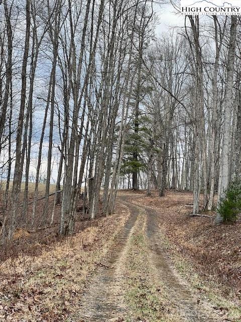 TBD Mcneill Rd, Lansing, NC 28643