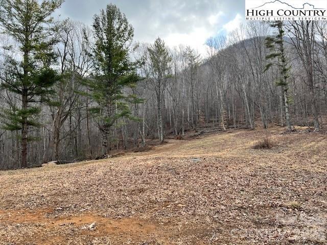 TBD Mcneill Rd, Lansing, NC 28643