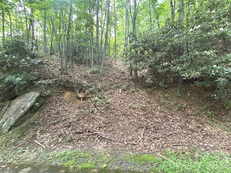 000 Valley View Dr #14, Maggie Valley, NC 28751