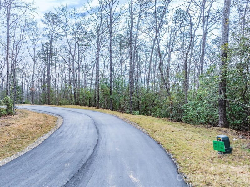 Tract 4 Turtle Ridge Trl, Mills River, NC 28759