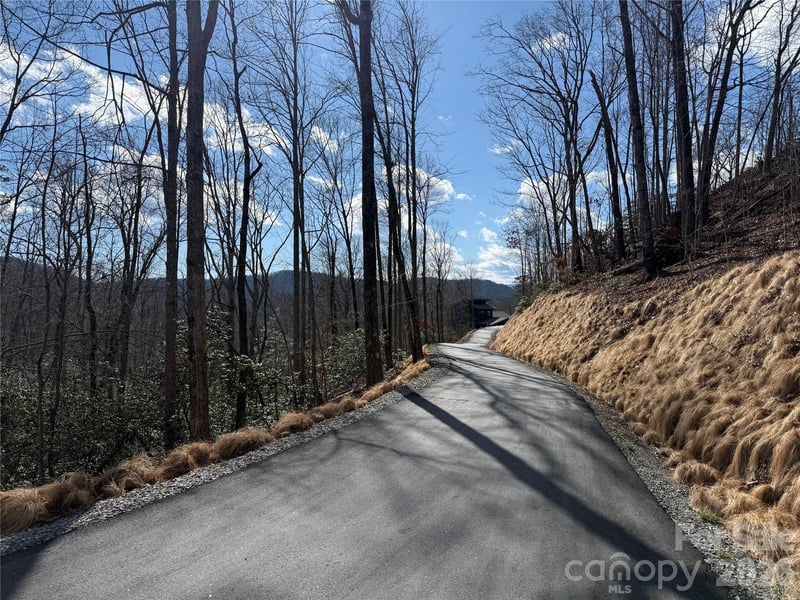 Tract 4 Turtle Ridge Trl, Mills River, NC 28759