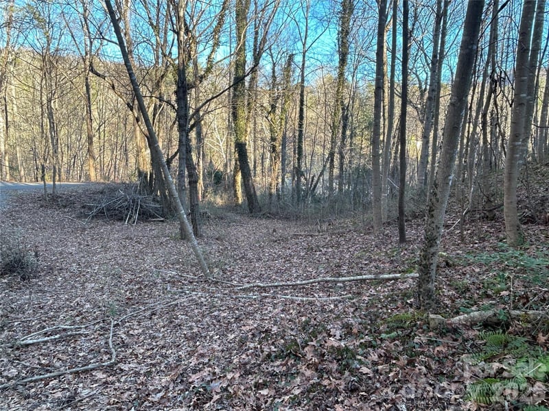 99999 Hickory Tree Rd, Asheville, NC 28805