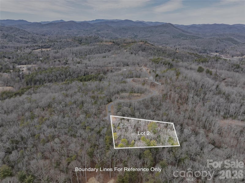 Tract 2 Turtle Ridge Trl, Mills River, NC 28759