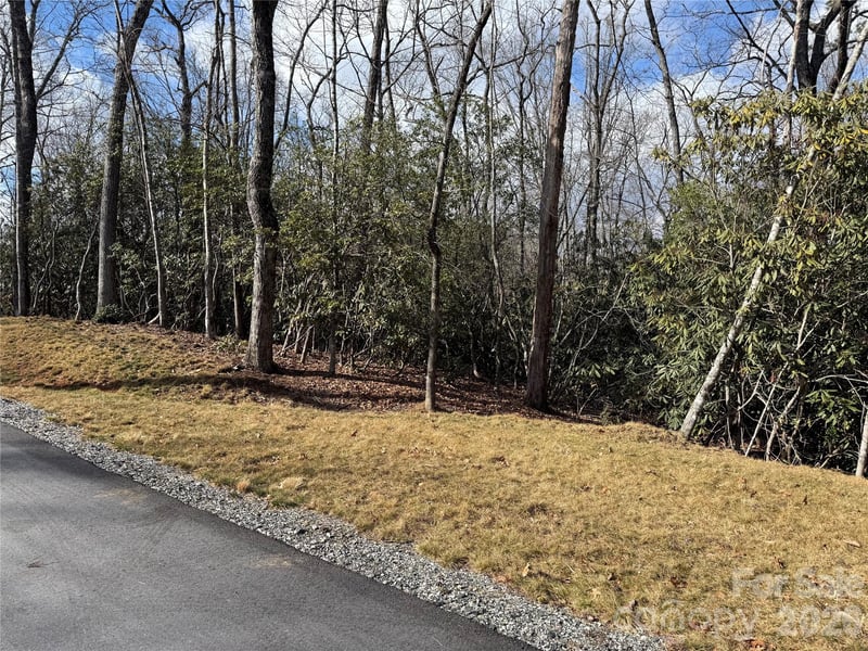 Tract 2 Turtle Ridge Trl, Mills River, NC 28759