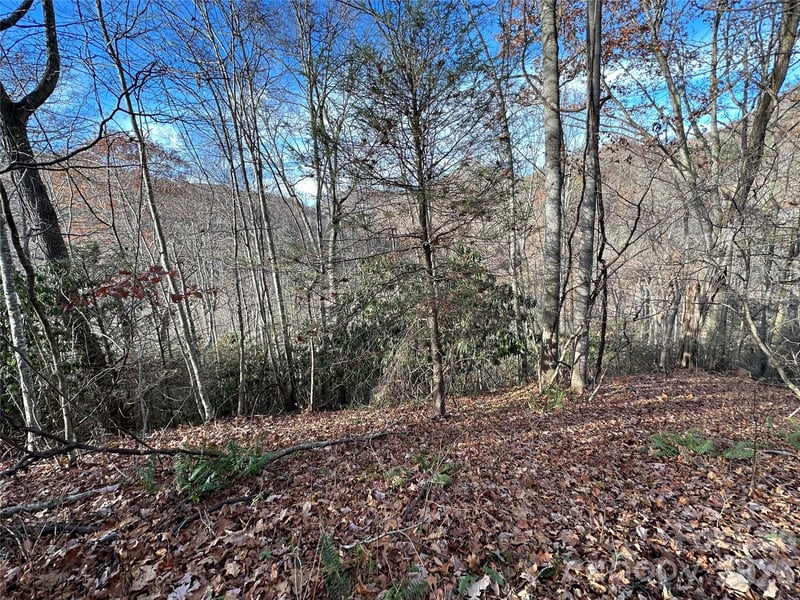 00 Rock House Cove Rd #2, Clyde, NC 28721
