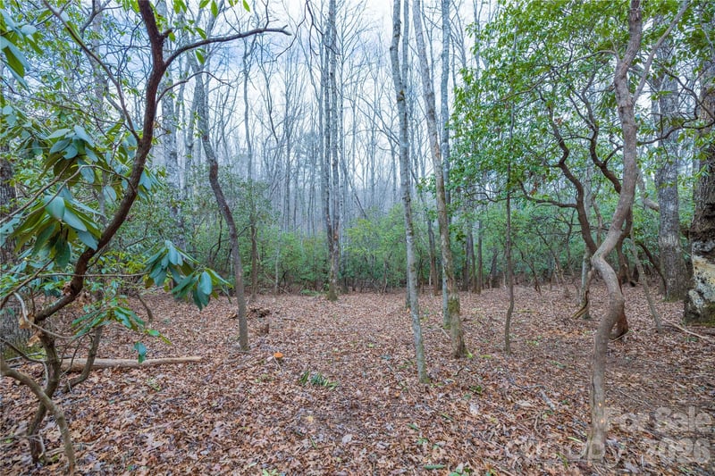 Tract 1 Turtle Ridge Trl, Mills River, NC 28759