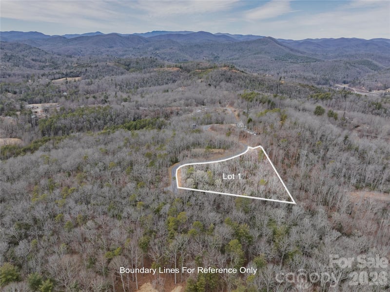 Tract 1 Turtle Ridge Trl, Mills River, NC 28759