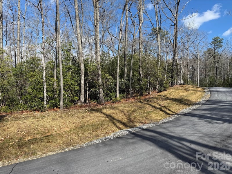 Tract 1 Turtle Ridge Trl, Mills River, NC 28759