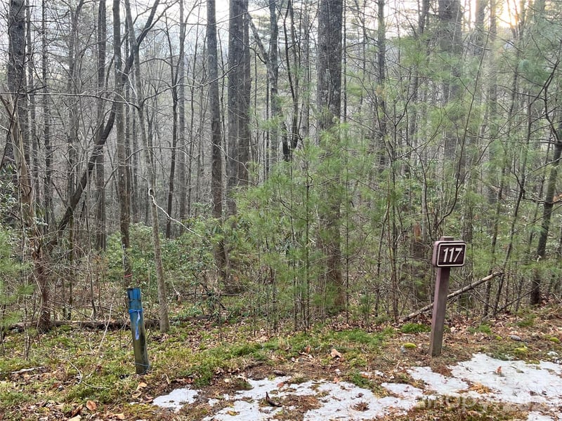 Lot 117 Huckleberry Ridge Ln, Zirconia, NC 28790