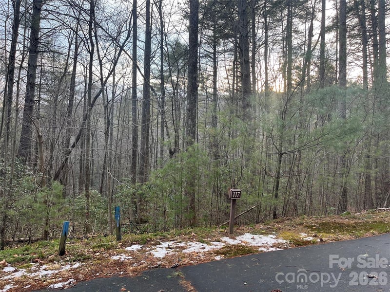 Lot 117 Huckleberry Ridge Ln, Zirconia, NC 28790