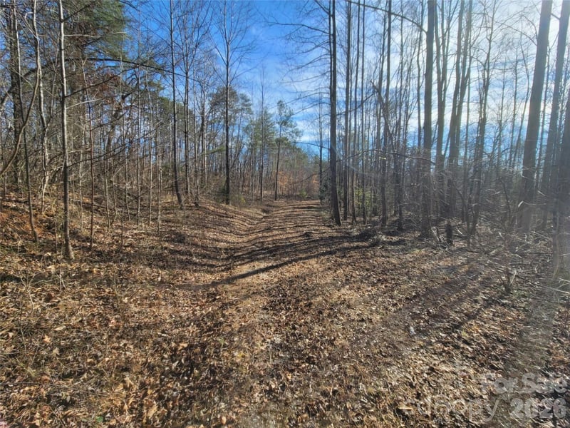 Smith Waldrop Rd, Columbus, NC 28722