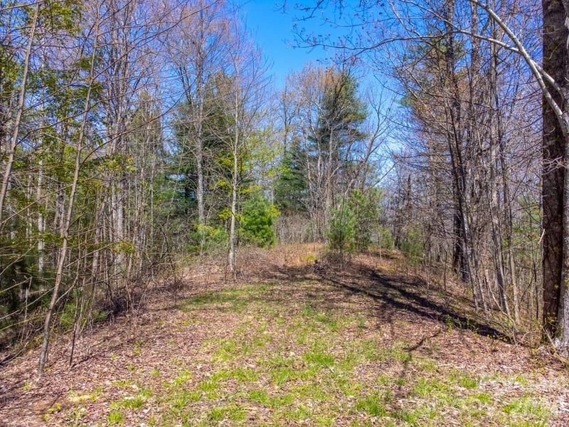 Lot 32 Fontana Tc, Almond, NC 28702