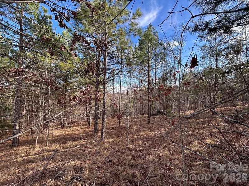 254 Stoney Creek Dr #224, Nebo, NC 28761