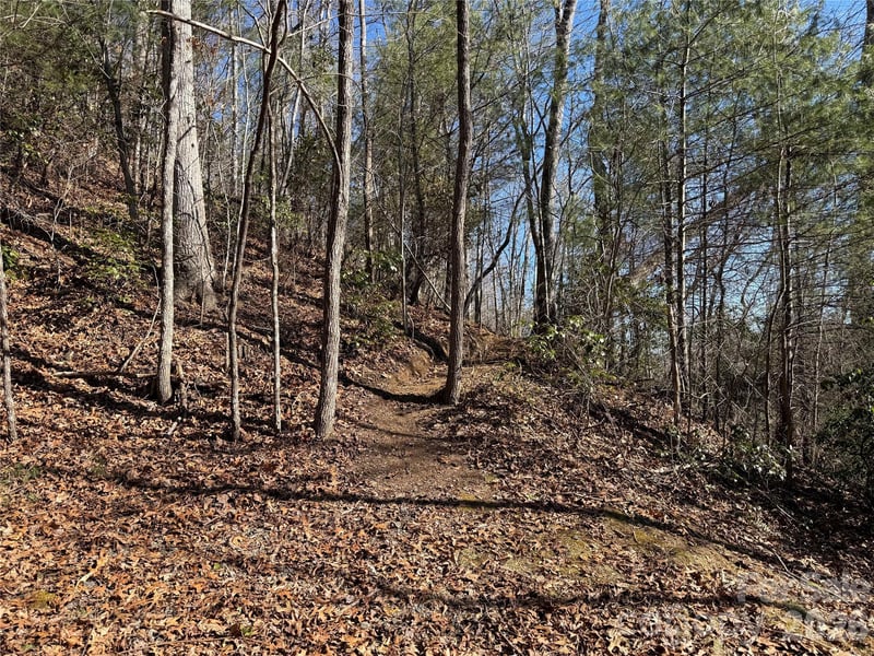 33 High Point Trl, Brevard, NC 28712