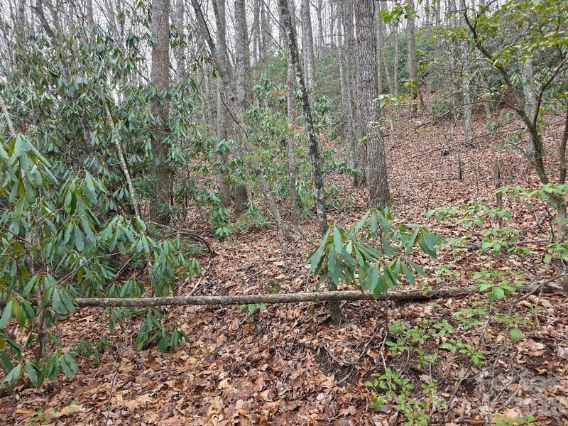 00 Barking Dog Ln, Burnsville, NC 28714